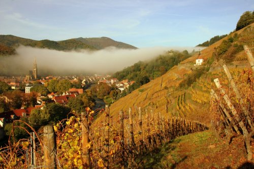 Domaine Zind Humbrecht